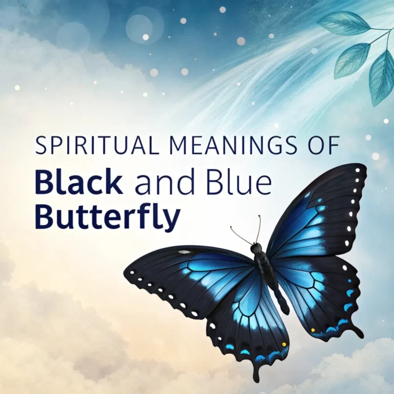 12 Spiritual Meanings of Black and Blue Butterfly: A Journey of Transformation